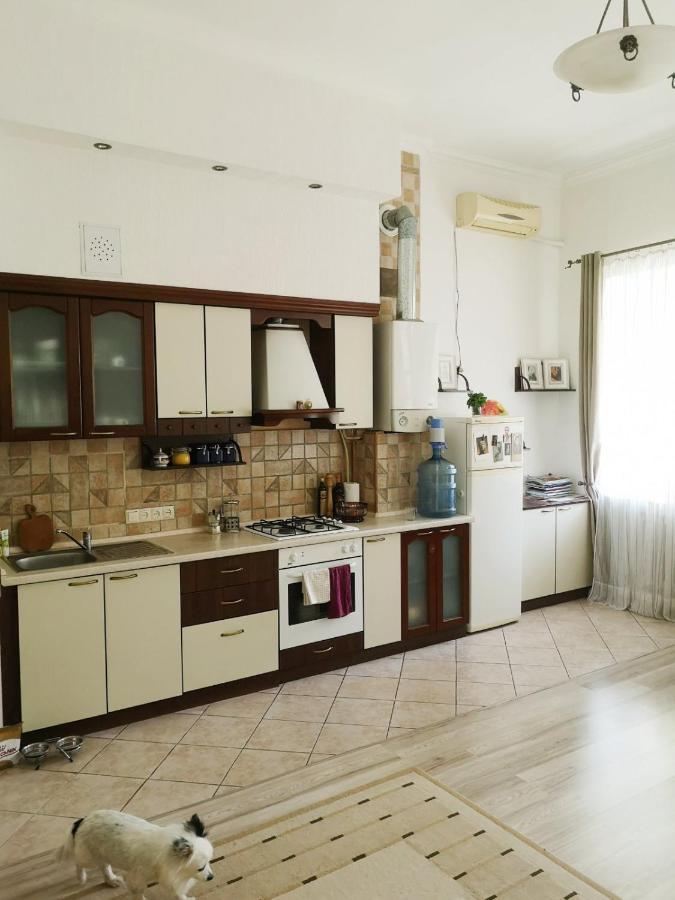 Уютная Квартира В Центре Одессы Odessa Extérieur photo